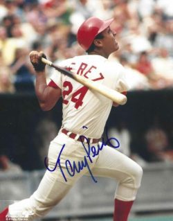 Autographed TONY PEREZ 8x10 Cincinnati Reds Photo