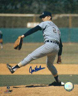 AUTOGRAPHED JOEL HORLEN 8X10 Chicago White Sox Photo