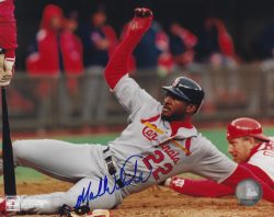 AUTOGRAPHED MARK WHITEN 8X10 St. Louis Cardinals photo