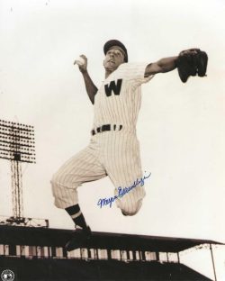 AUTOGRAPHED WAYNE TERWILLIGER 8X10 Washington Senators Photo