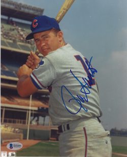 Autographed RON SANTO 8X10 CHICAGO CUBS photo Beckett COA