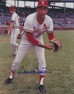 AUTOGRAPHED ORLANDO PENA 8x10 St. Louis Cardinals photo