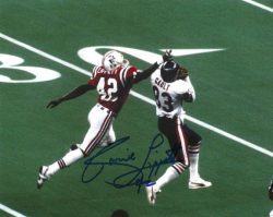 AUTOGRAPHED RONNIE LIPPETT 8X10 New England Patriots photo