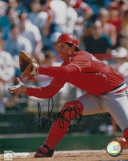AUTOGRAPHED TOM PAGNOZZI 8X10 St. Louis Cardinals photo