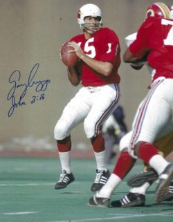 Autographed GARY CUOZZO 8X10 St. Louis Cardinals Photo