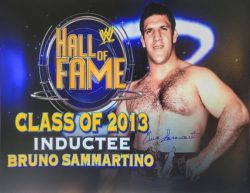 Autographed Bruno Sammartino WWF 16x20 photo