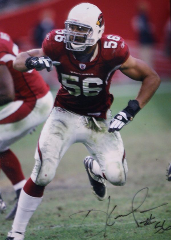 Autographed 11x14 Chike Okeafor Arizona Cardinals  photo