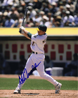 AUTOGRAPHED SIGNED photo ADAM MELHUSE #2 Oakland A's