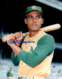 AUTOGRAPHED BERT CAMPANERIS 8X10 Oakland A's Photo