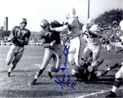 Autographed GINO MARCHETTI 8X10 Baltimore Colts photo