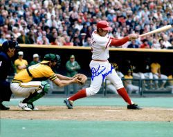 AUTOGRAPHED DENIS MENKE 8X10 photo  Cincinnati Reds
