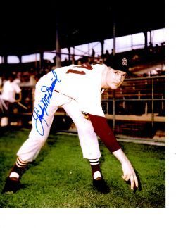 AUTOGRAPHED LINDY MCDANIEL 8X10 St. Louis Cardinals photo