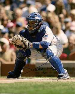AUTOGRAPHED KOYIE HILL 8X10 Chicago Cubs Photo
