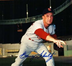 AUTOGRAPHED BARNEY SCHULTZ 8x10 St. Louis Cardinals photo