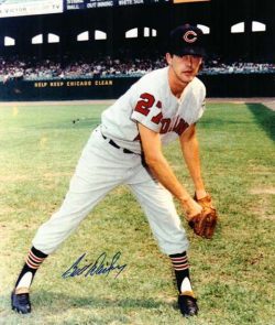 AUTOGRAPHED  photo BILL DAILEY Cleveland Indians