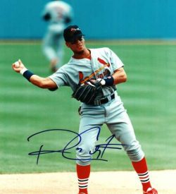 AUTOGRAPHED ROYCE CLAYTON St. Louis Cardinals photo