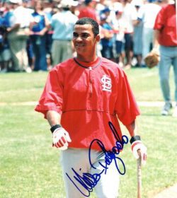 AUTOGRAPHED WILSON DELGADO St. Louis Cardinals photo