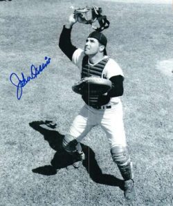 AUTOGRAPHED JOHNNY ORSINO 8x10 Baltimore Orioles photo
