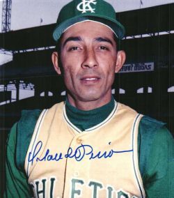 AUTOGRAPHED ORLANDO PENA 8x10 Kansas City A's Photo