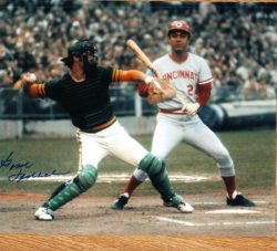 AUTOGRAPHED GENE TENACE photo - Oakland A's