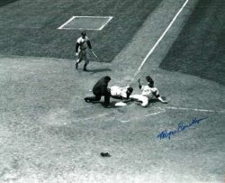 AUTOGRAPHED  WAYNE TERWILLIGER NEW YORK Giants Photo