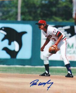 AUTOGRAPHED ROB WILFONG- Minnesota Twins photo