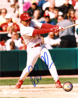 AUTOGRAPHED PLACIDO POLANCO 8x10 St. Louis Cardinals Photo