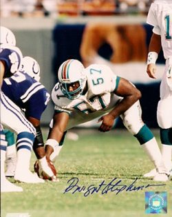 Autographed DWIGHT STEPHENSON 8x10 Miami Dolphins  photo