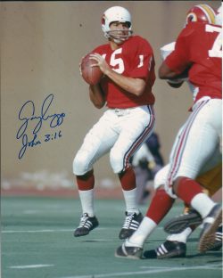 Autographed GARY CUOZZO 8X10 St. Louis Cardinals Photo
