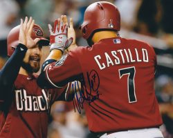 Autographed WELLINGTON CASTILLO 8X10 Arizona Diamondbacks Photo