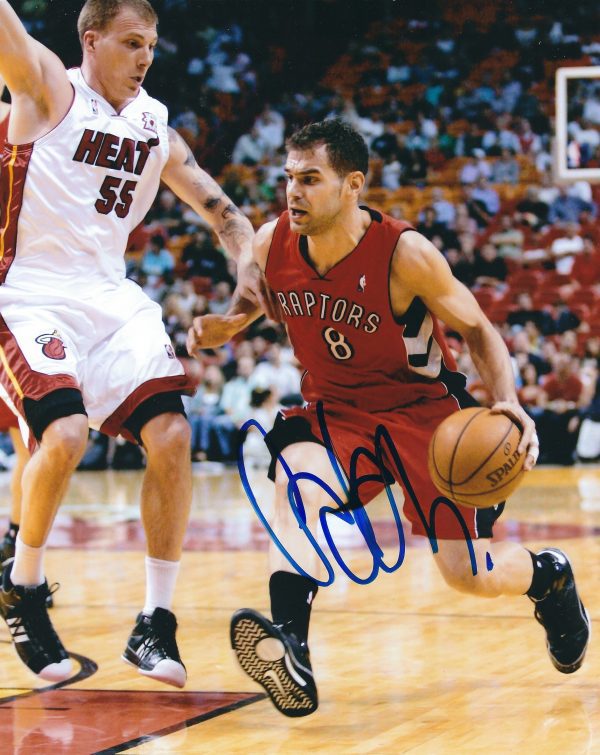Autographed JOSE CALDERON 8X10 Toronto Raptors photo