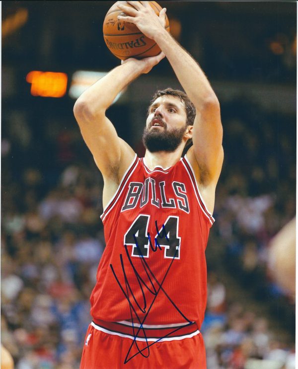 Autographed NIKOLA MIROTIC 8x10 Chicago Bulls Photo