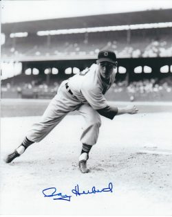 AUTOGRAPHED RAY HERBERT photo  Detroit Tigers