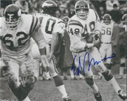Autographed ED MARINARO  8X10  Minnesota Vikings Photo