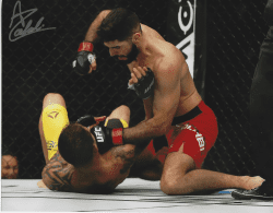 Autographed Aiemann Zahabi UFC & MMA 8x10 photo with COA