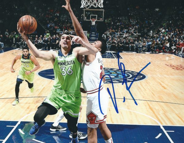 Autographed DARIO SARIC 8X10 Minnesota Timberwolves Photo