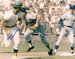 AUTOGRAPHED photo GENE TENACE Oakland A's