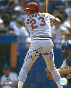 AUTOGRAPHED TOM BRUNANSKY 8x10 St. Louis Cardinals photo