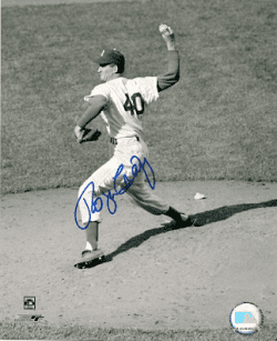 AUTOGRAPHED ROGER CRAIG 8x10 Brooklyn Dodgers photo
