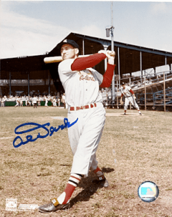 AUTOGRAPHED AL DARK 8x10 St. Louis Cardinals photo