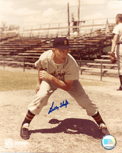 AUTOGRAPHED  photo BILLY HOEFT  Detroit Tigers