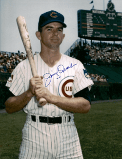 AUTOGRAPHED JIMMY QUALLS 8x10 Chicago Cubs Photo