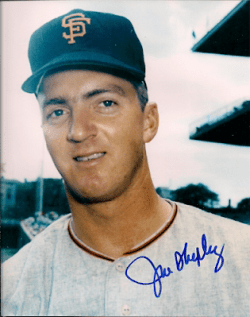 AUTOGRAPHED JOE SHIPLEY 8x10 San Francisco Giants Photo