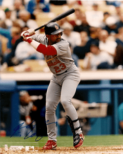 AUTOGRAPHED FERNANDO TATIS 8x10 St. Louis Cardinals photo