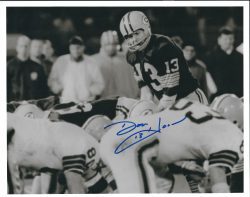 Autographed DON HORN 8X10 Green Bay Packers Photo