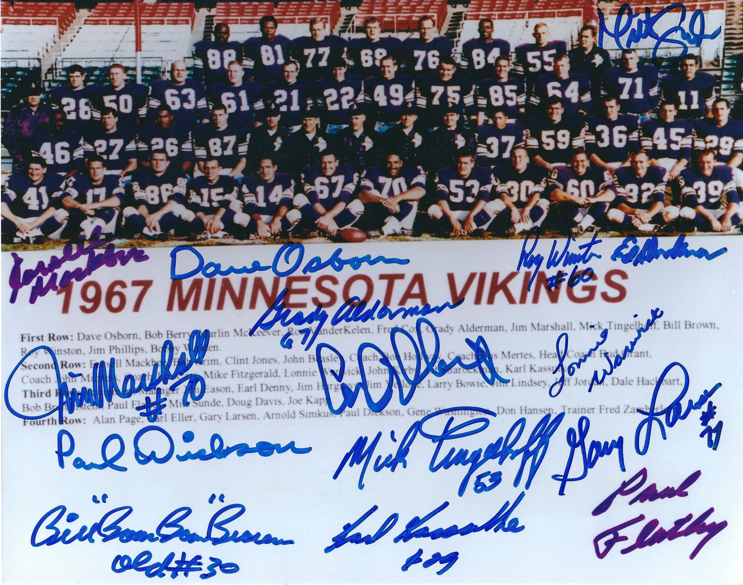 1967 minnesota vikings