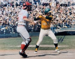 AUTOGRAPHED GENE TENACE  11X14 Oakland A's Photo