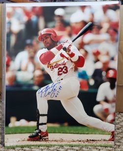 Autographed FERNANDO TATIS St. Louis Cardinals 11x14 Photo