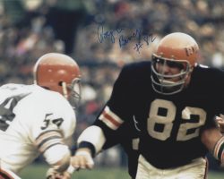 Autographed ROYCE BERRY 8X10 Cincinnati Bengals Photo