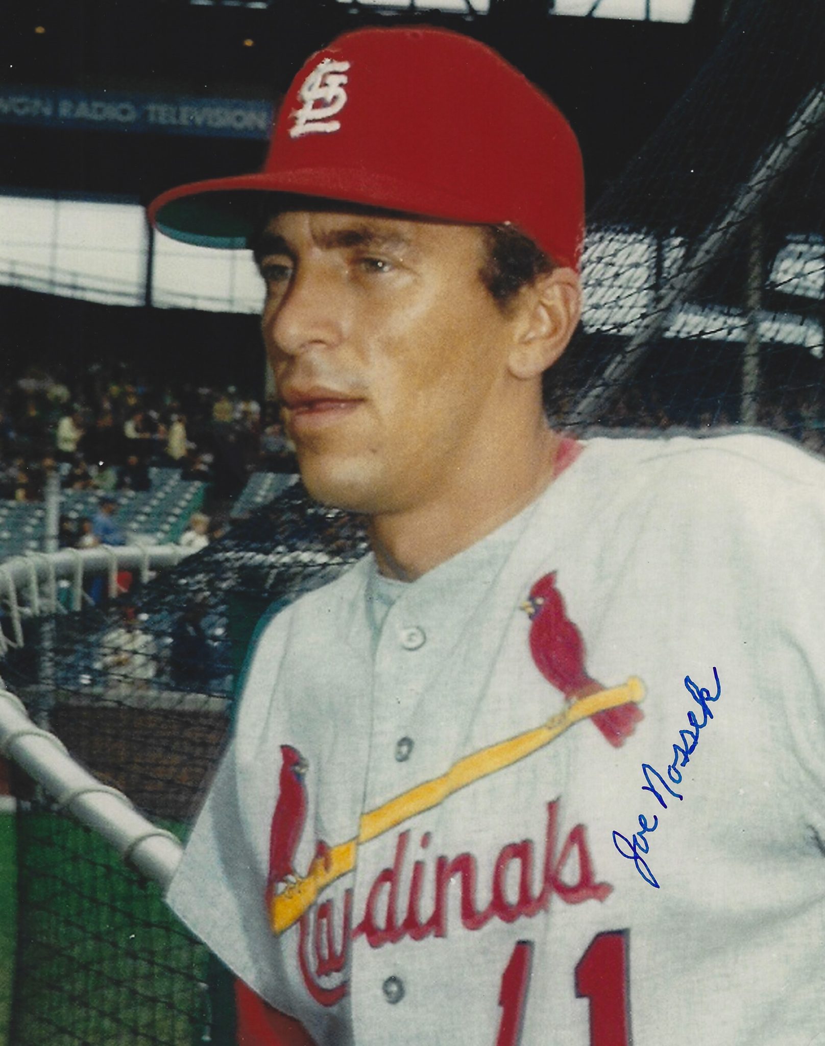 AUTOGRAPHED JOE NOSSEK 8x10 St. Louis Cardinals Main Line Autographs